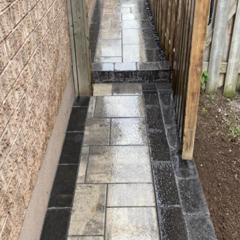 BCI Gallery – 2023-08-03T225246.020